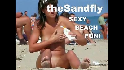 theSandfly handsome Beach Fun!