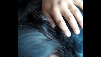 Piare Putita De Temuco tragando nectar