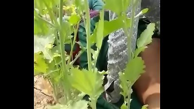 punjabi girl fucked by lover