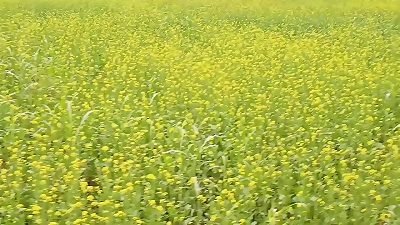 My boyfriend fukcked hard my village snatch hard drilled