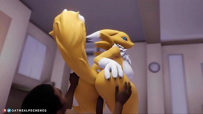 Renamon: ride on