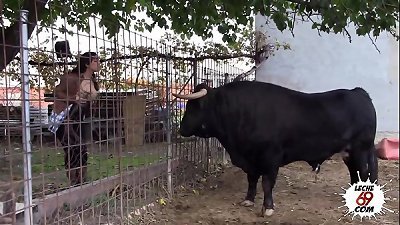 SEXO AL LADO DE UN TORO REAL Mara Lopez Leche69